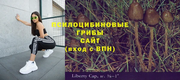 ешки Балахна