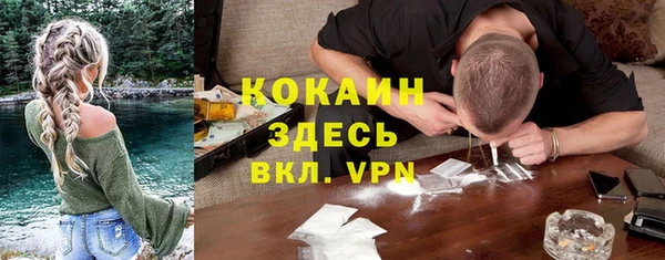шишки Армянск