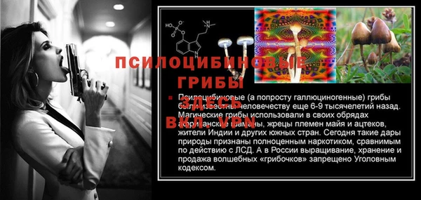 ешки Балахна