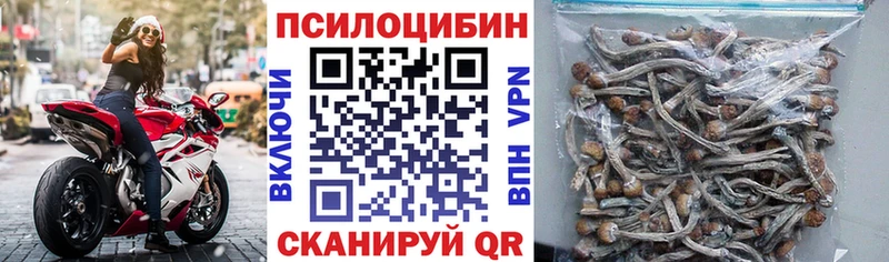 Псилоцибиновые грибы Cubensis  Тавда 