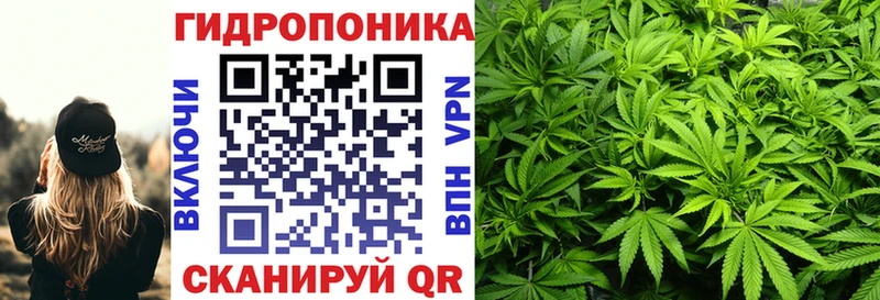 Канабис конопля Тавда